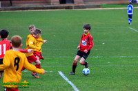 140223 B Cav U9 v Pinewood Pumas (19)