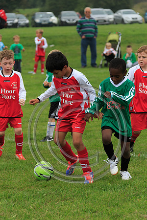 Eldon-2014 238