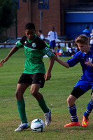 Eldon-2014 1129