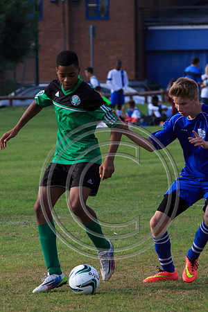 Eldon-2014 1129