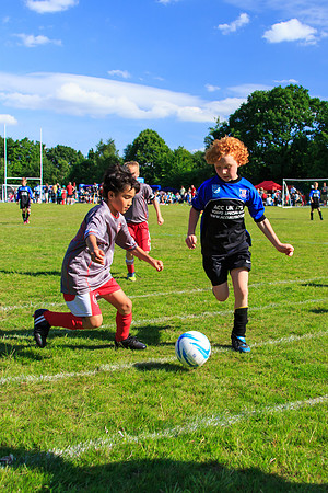 130629 Sandhurst Wanderers U8 at BTJ U9 Trny (428)