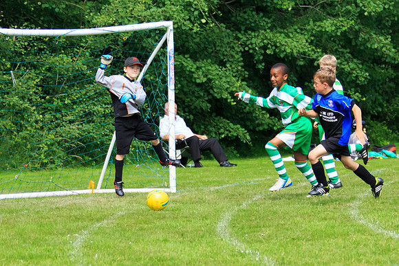 130629 Sandhurst Wanderers U8 at BTJ U9 Trny (184)