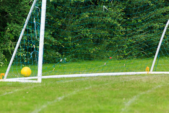 130629 Sandhurst Wanderers U8 at BTJ U9 Trny (242)