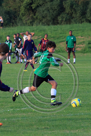 Eldon-2014 1476