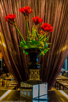 1DX_4559