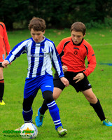 131117 Frimley v Mayford Hawks