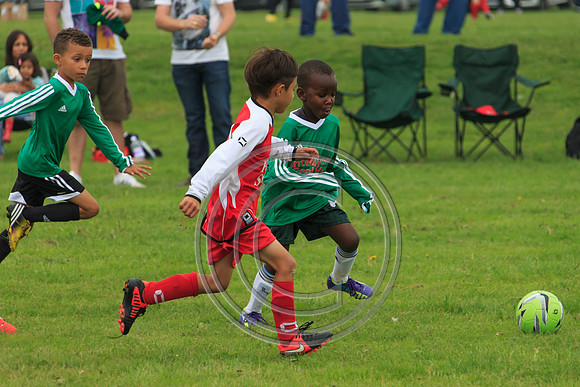 Eldon-2014 226