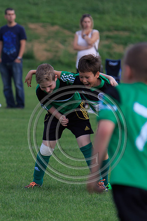Eldon-2014 966
