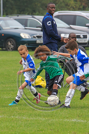 Eldon-2014 305