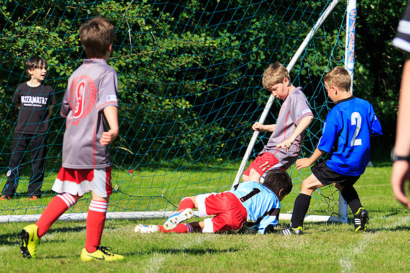 130629 Sandhurst Wanderers U8 at BTJ U9 Trny (417)