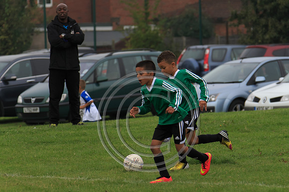 Eldon-2014 174