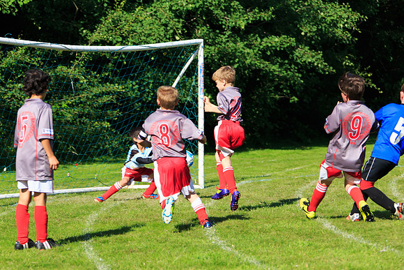 130629 Sandhurst Wanderers U8 at BTJ U9 Trny (441)