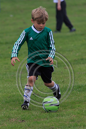Eldon-2014 331