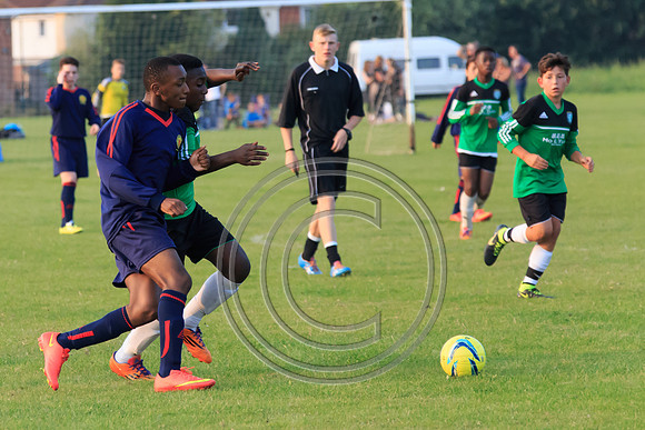 Eldon-2014 1471