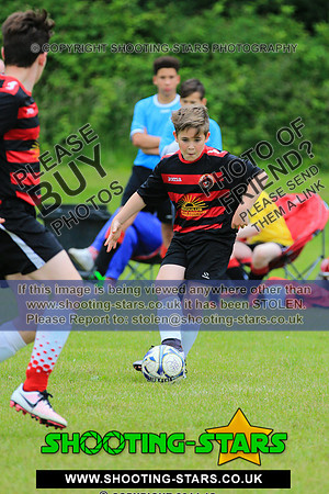 U13-2119