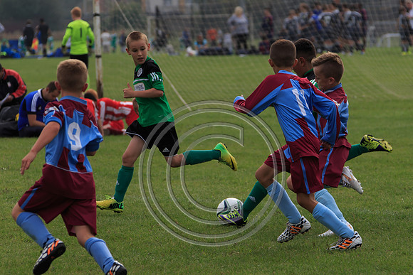 Eldon-2014 836