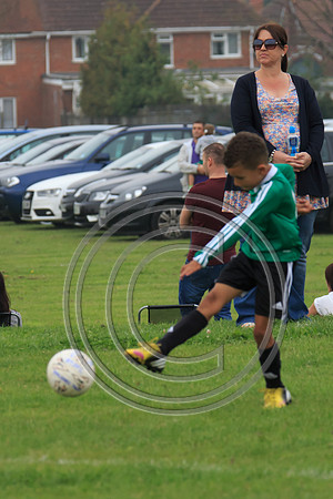 Eldon-2014 178