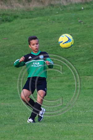 Eldon-2014 1486