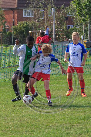 Eldon-2014 1081