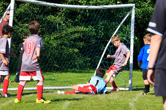 130629 Sandhurst Wanderers U8 at BTJ U9 Trny (416)