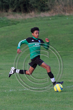 Eldon-2014 1464