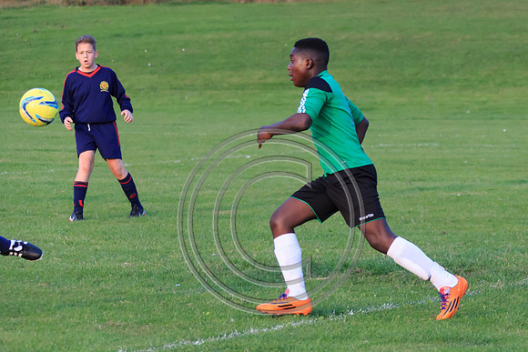 Eldon-2014 1482