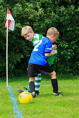 130629 Sandhurst Wanderers U8 at BTJ U9 Trny (267)
