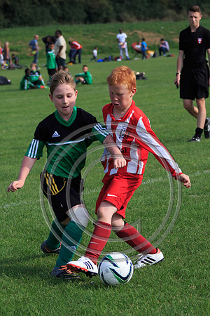 Eldon-2014 1032