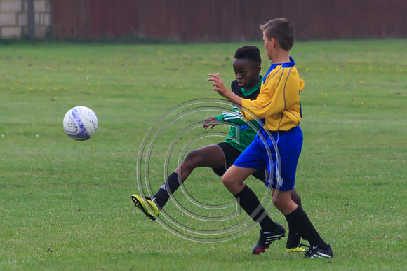 Eldon-2014 355