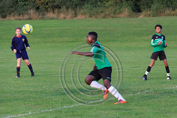 Eldon-2014 1481