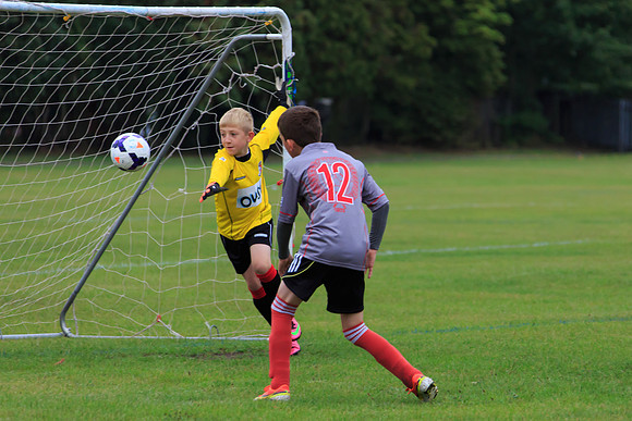 130914 B Cavaliers 2 Camberley Rascals 0 014