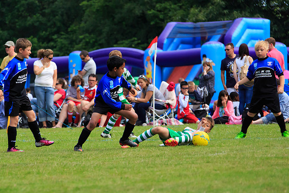 130629 Sandhurst Wanderers U8 at BTJ U9 Trny (246)