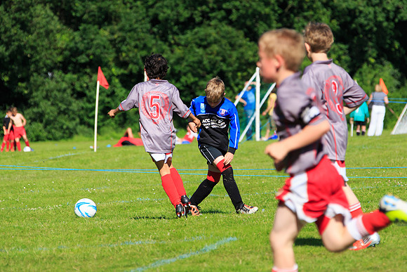 130629 Sandhurst Wanderers U8 at BTJ U9 Trny (369)