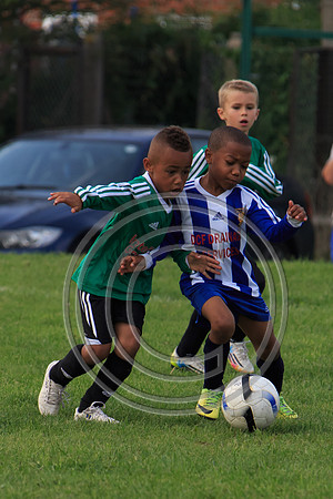 Eldon-2014 935