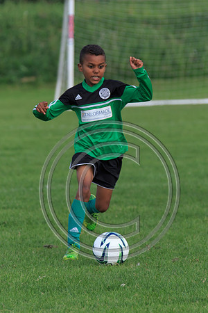 Eldon-2014 985