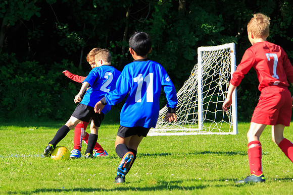 130629 Sandhurst Wanderers U8 at BTJ U9 Trny (535)