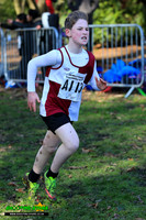 Cross Country 2