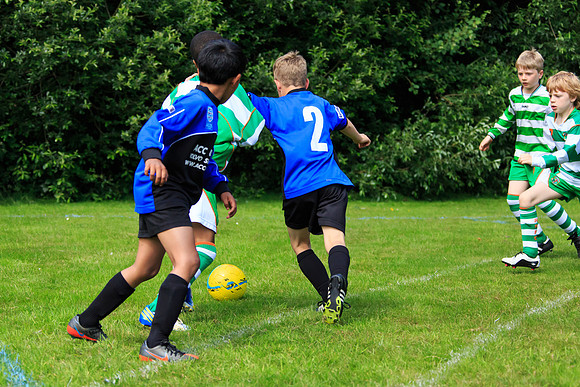 130629 Sandhurst Wanderers U8 at BTJ U9 Trny (189)