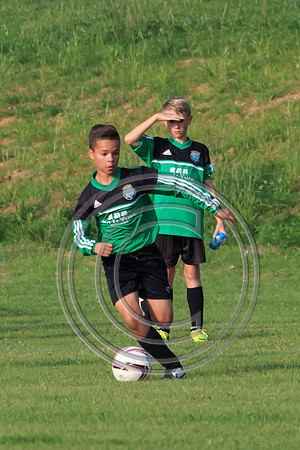 Eldon-2014 1340