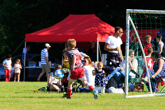 130629 Sandhurst Wanderers U8 at BTJ U9 Trny (386)