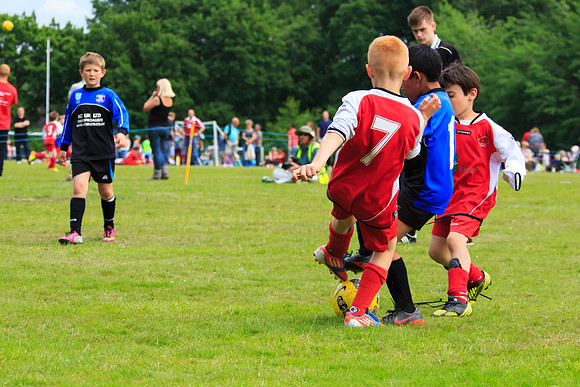 130629 Sandhurst Wanderers U8 at BTJ U9 Trny (54)