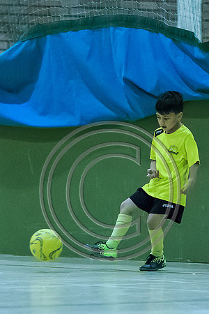 FT0515 (289)