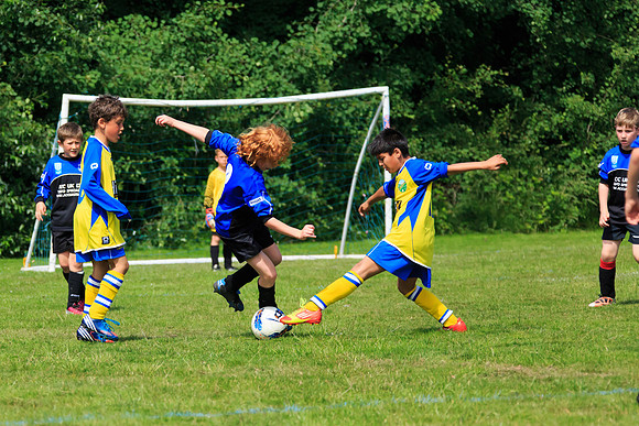 130629 Sandhurst Wanderers U8 at BTJ U9 Trny (142)