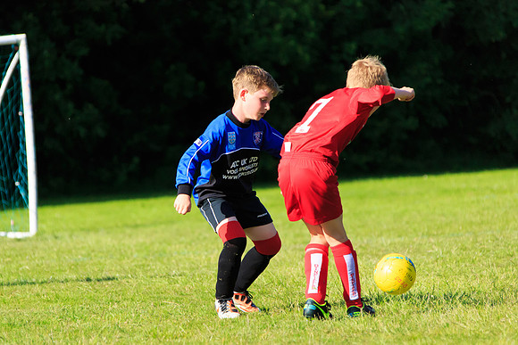 130629 Sandhurst Wanderers U8 at BTJ U9 Trny (573)